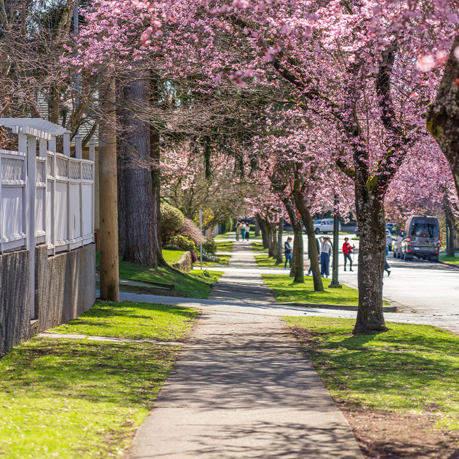 Port elgin Port elgin Real Estate - Mac Ferris, Realtor